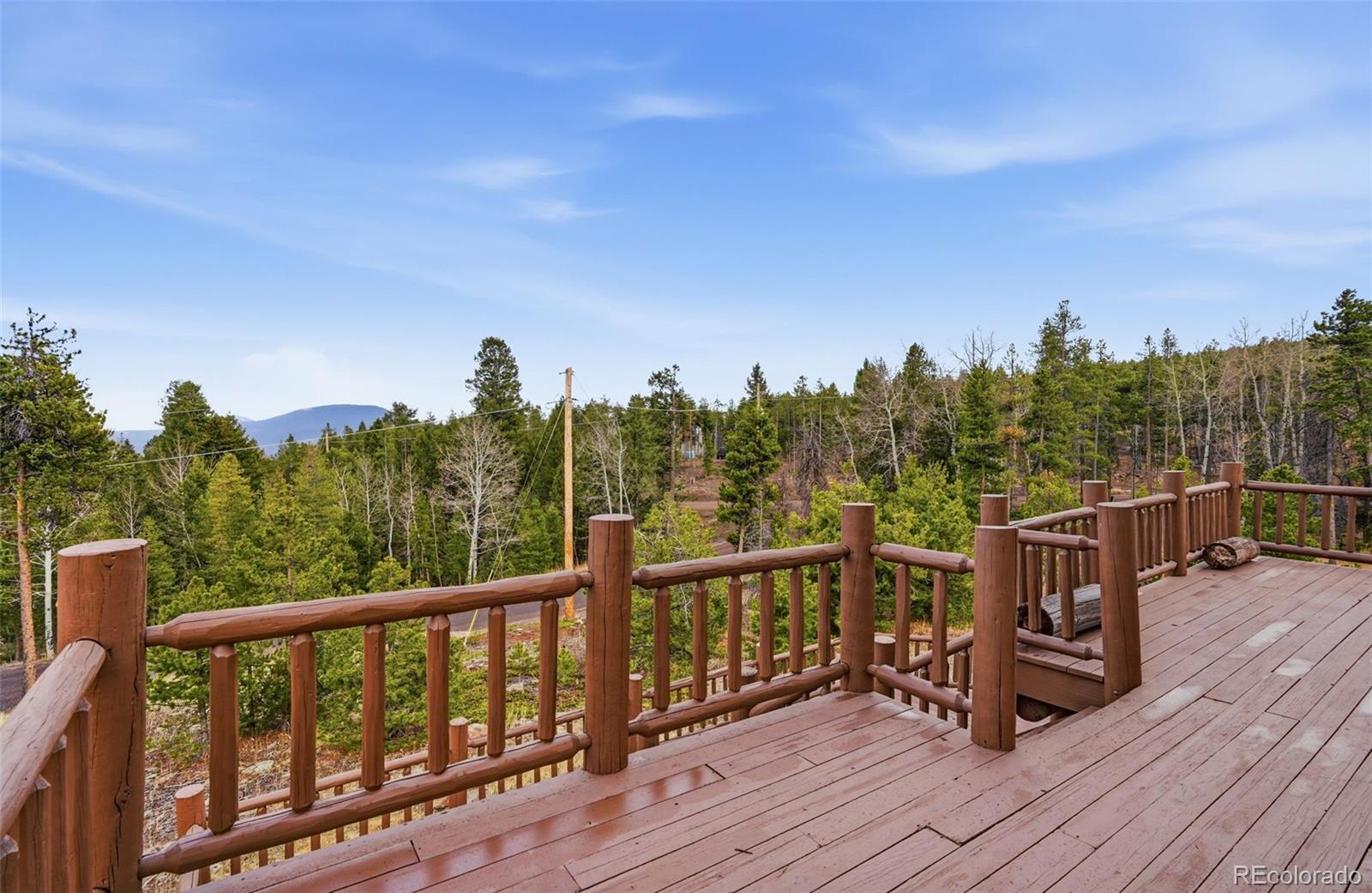 MLS Image #41 for 31551  black widow drive,conifer, Colorado