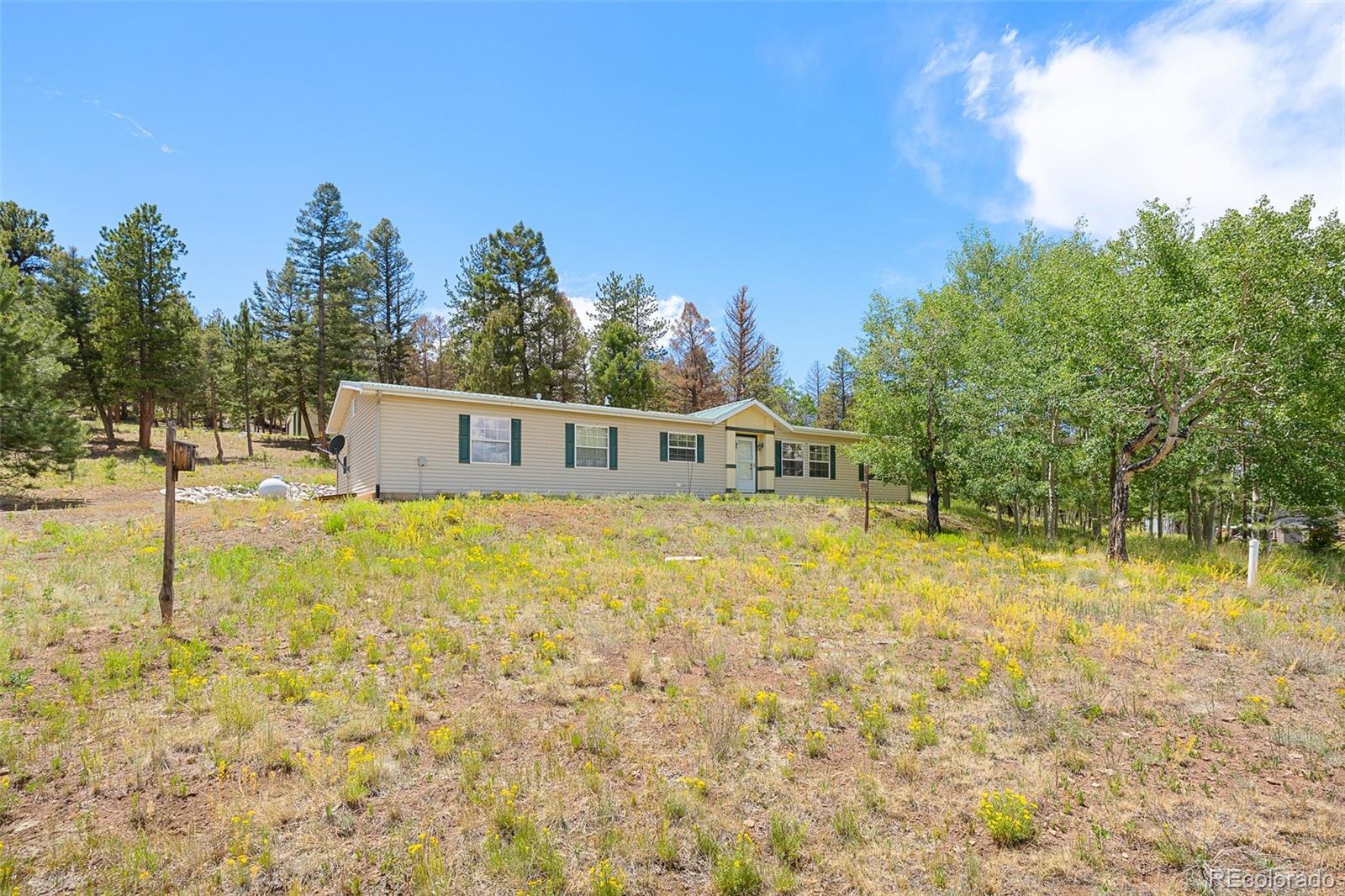MLS Image #12 for 1855  windmill drive,hartsel, Colorado