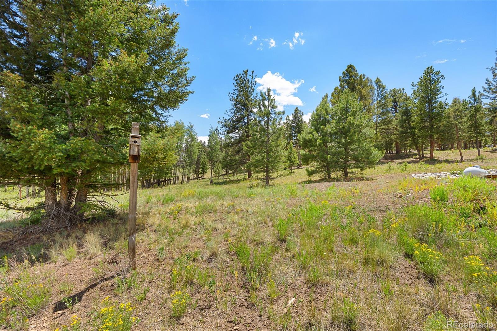 MLS Image #13 for 1855  windmill drive,hartsel, Colorado