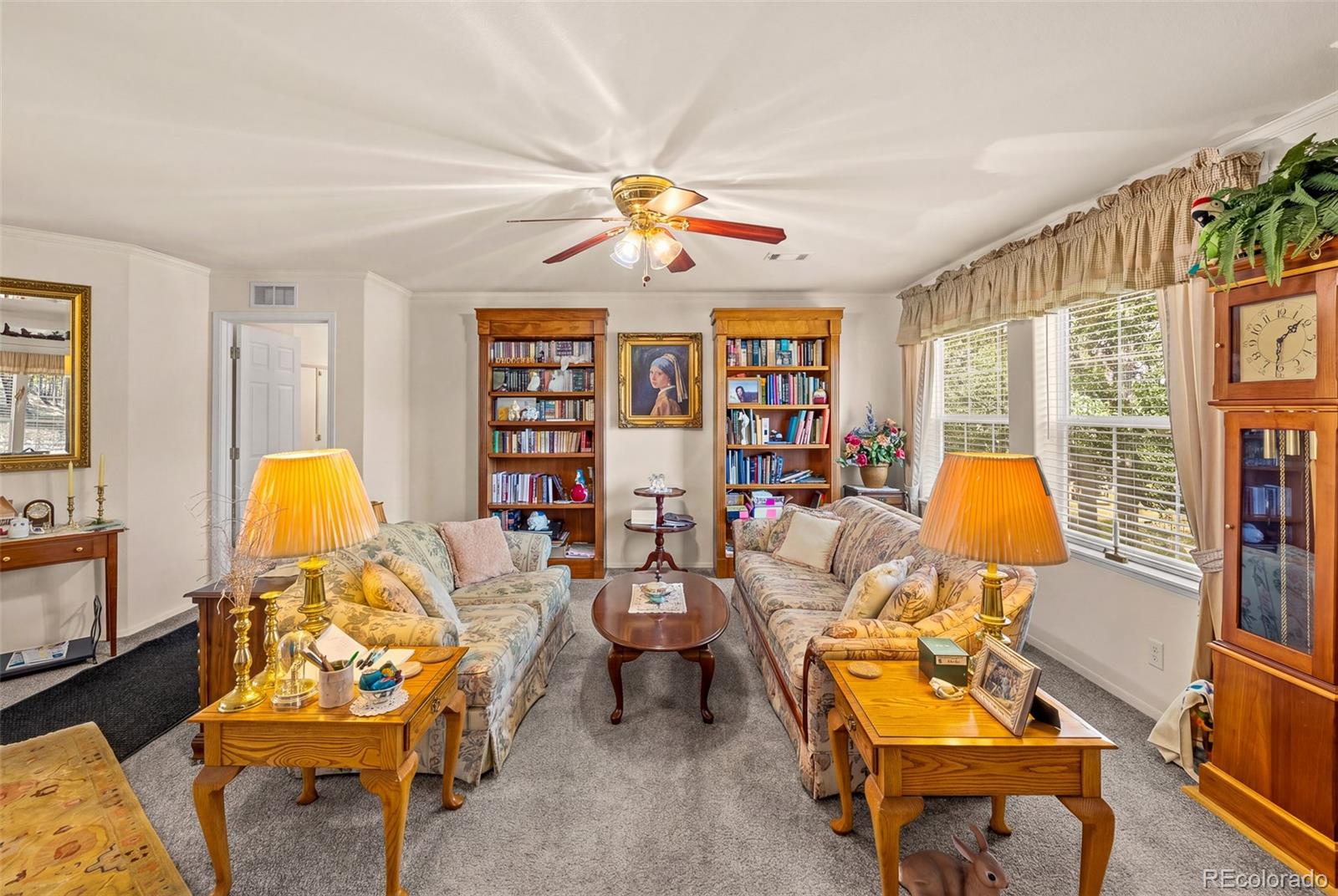 MLS Image #20 for 1855  windmill drive,hartsel, Colorado