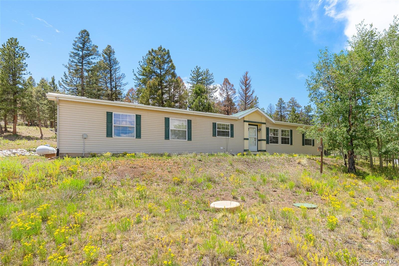 MLS Image #6 for 1855  windmill drive,hartsel, Colorado