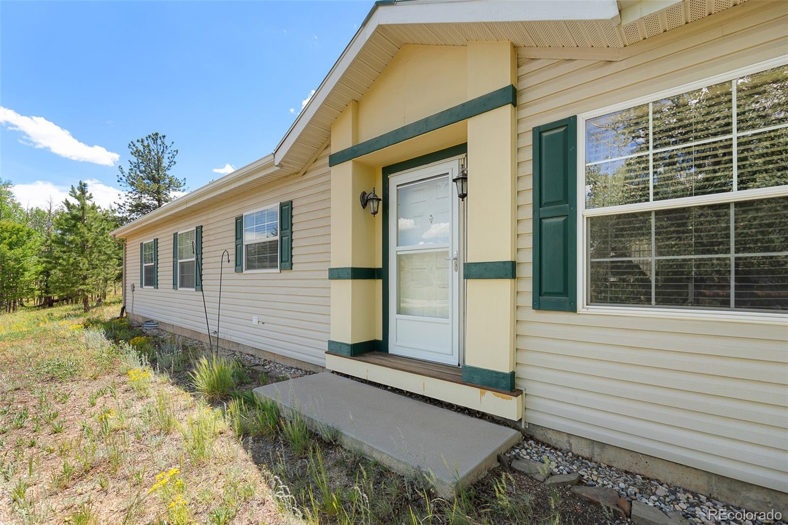 MLS Image #7 for 1855  windmill drive,hartsel, Colorado