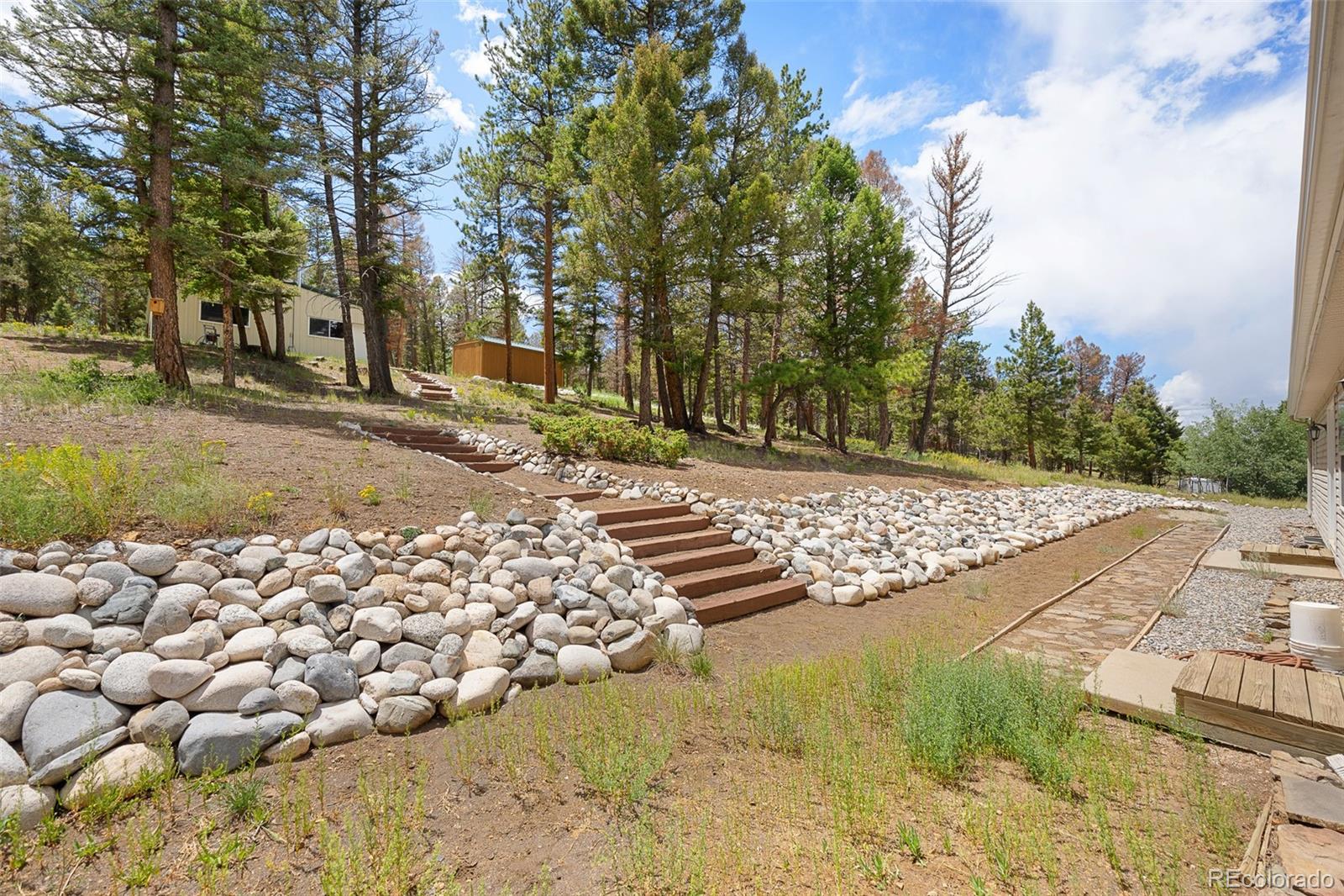MLS Image #9 for 1855  windmill drive,hartsel, Colorado