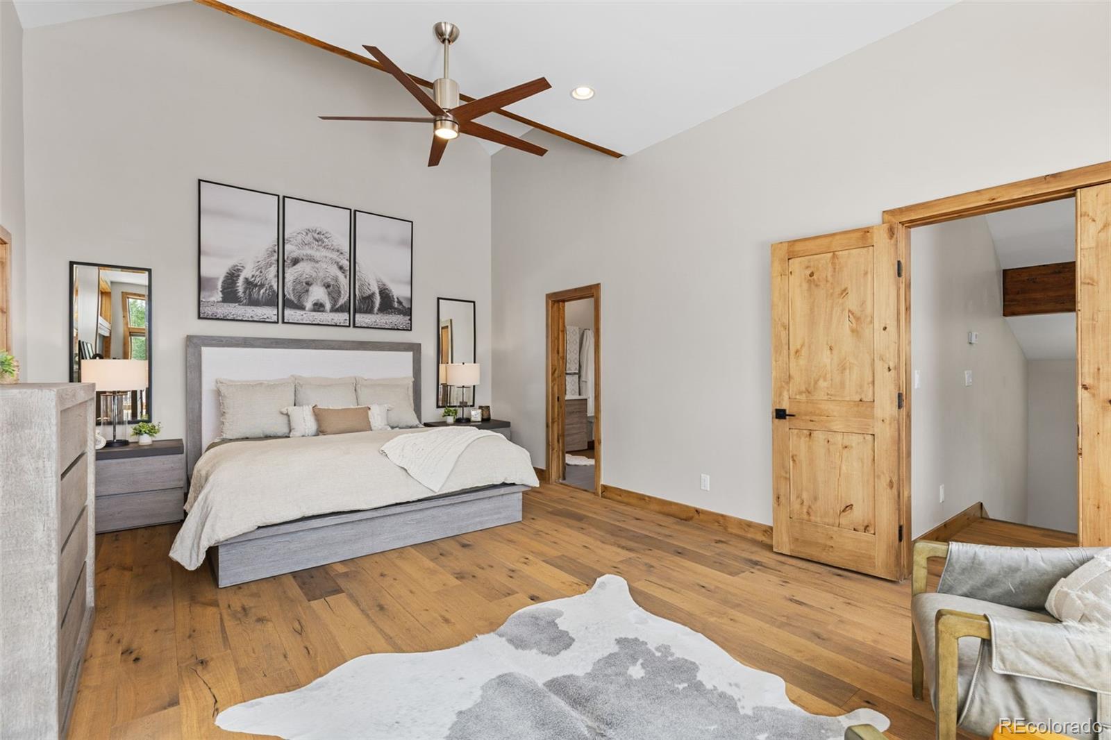 MLS Image #10 for 118  galena street,frisco, Colorado