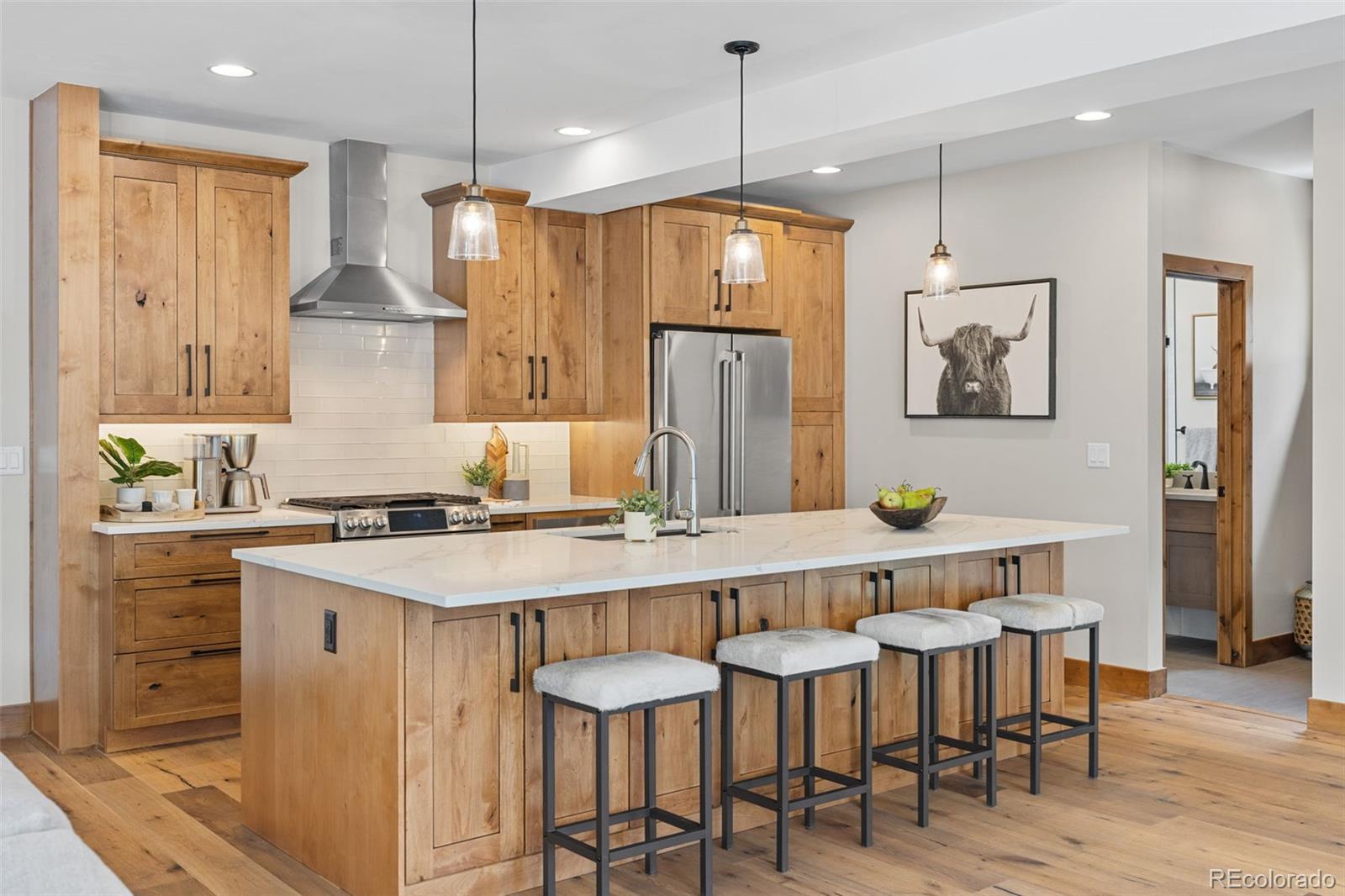 MLS Image #20 for 118  galena street,frisco, Colorado