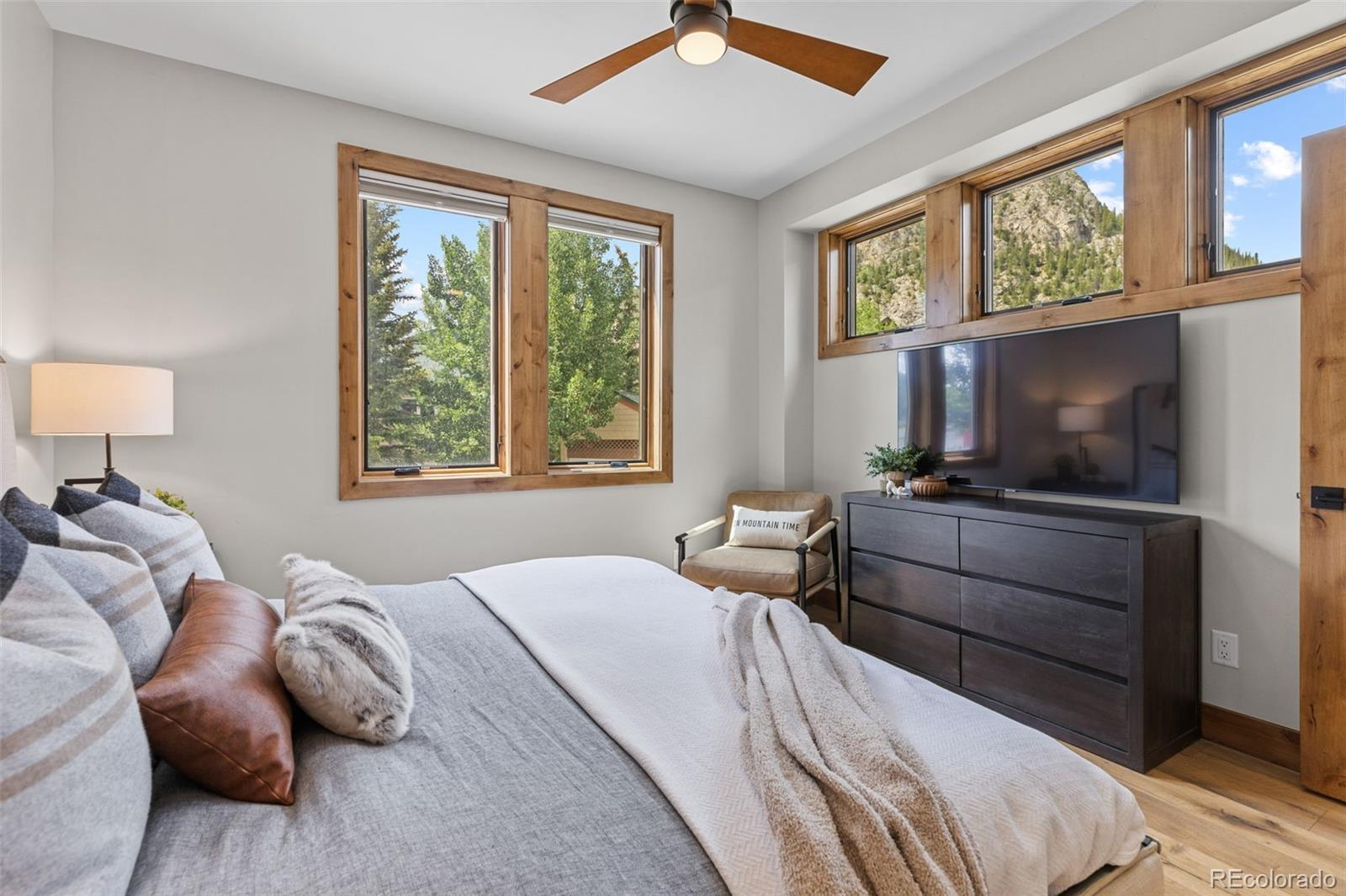 MLS Image #28 for 118  galena street,frisco, Colorado