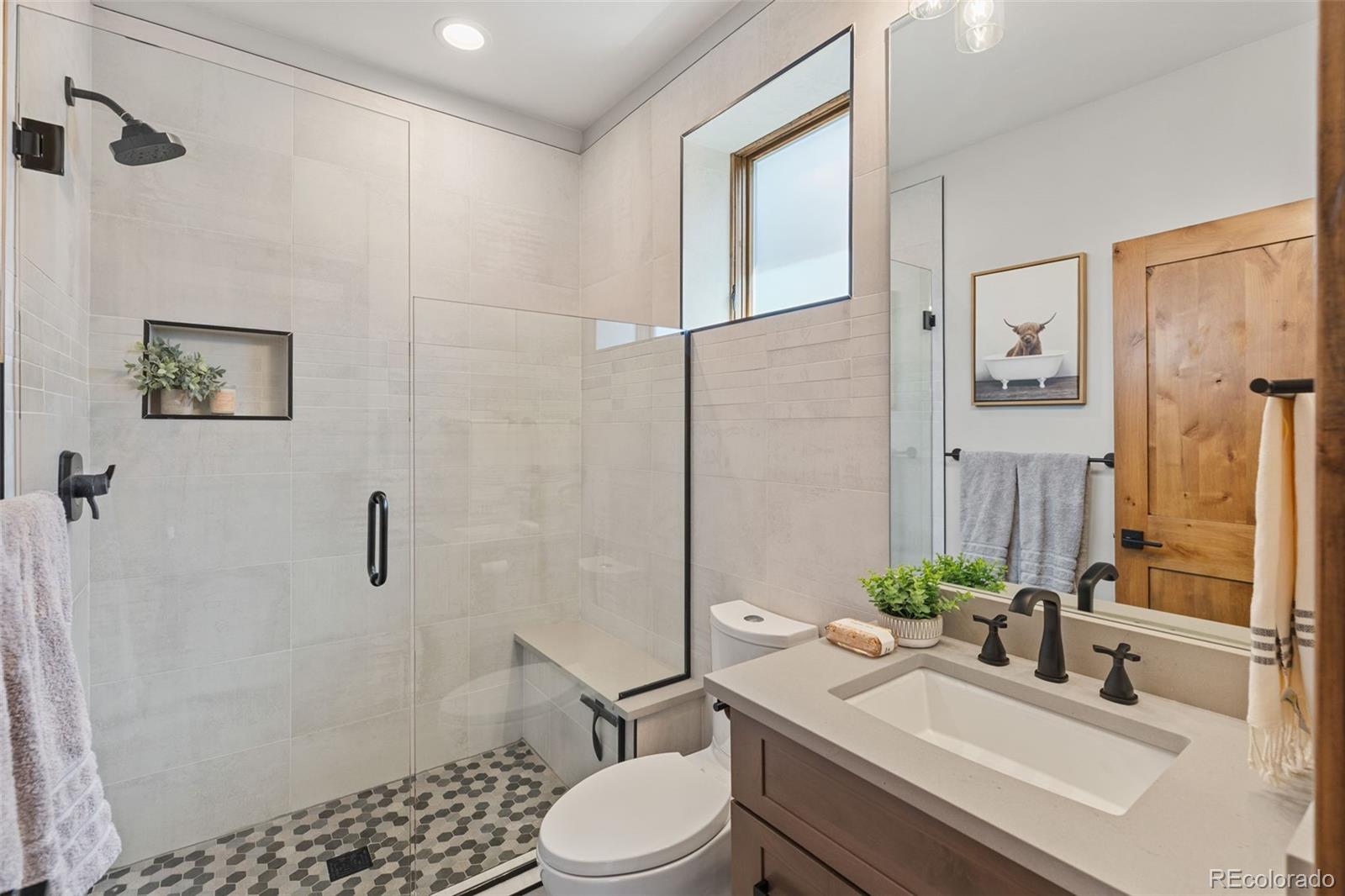MLS Image #29 for 118  galena street,frisco, Colorado