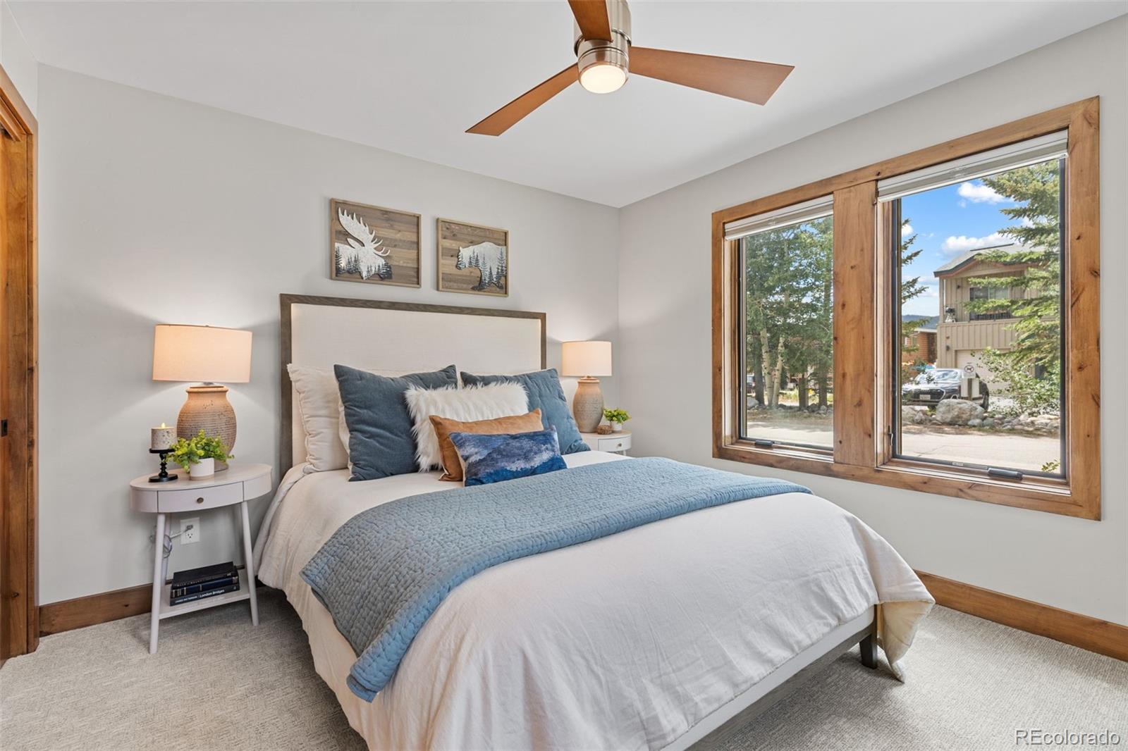 MLS Image #31 for 118  galena street,frisco, Colorado