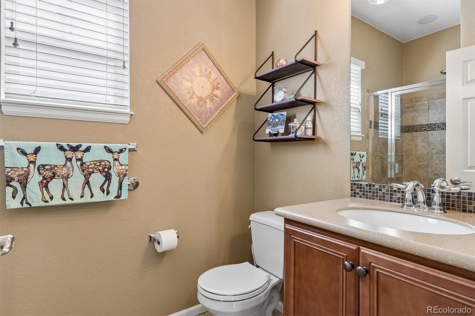MLS Image #21 for 3953  donnington circle,castle rock, Colorado