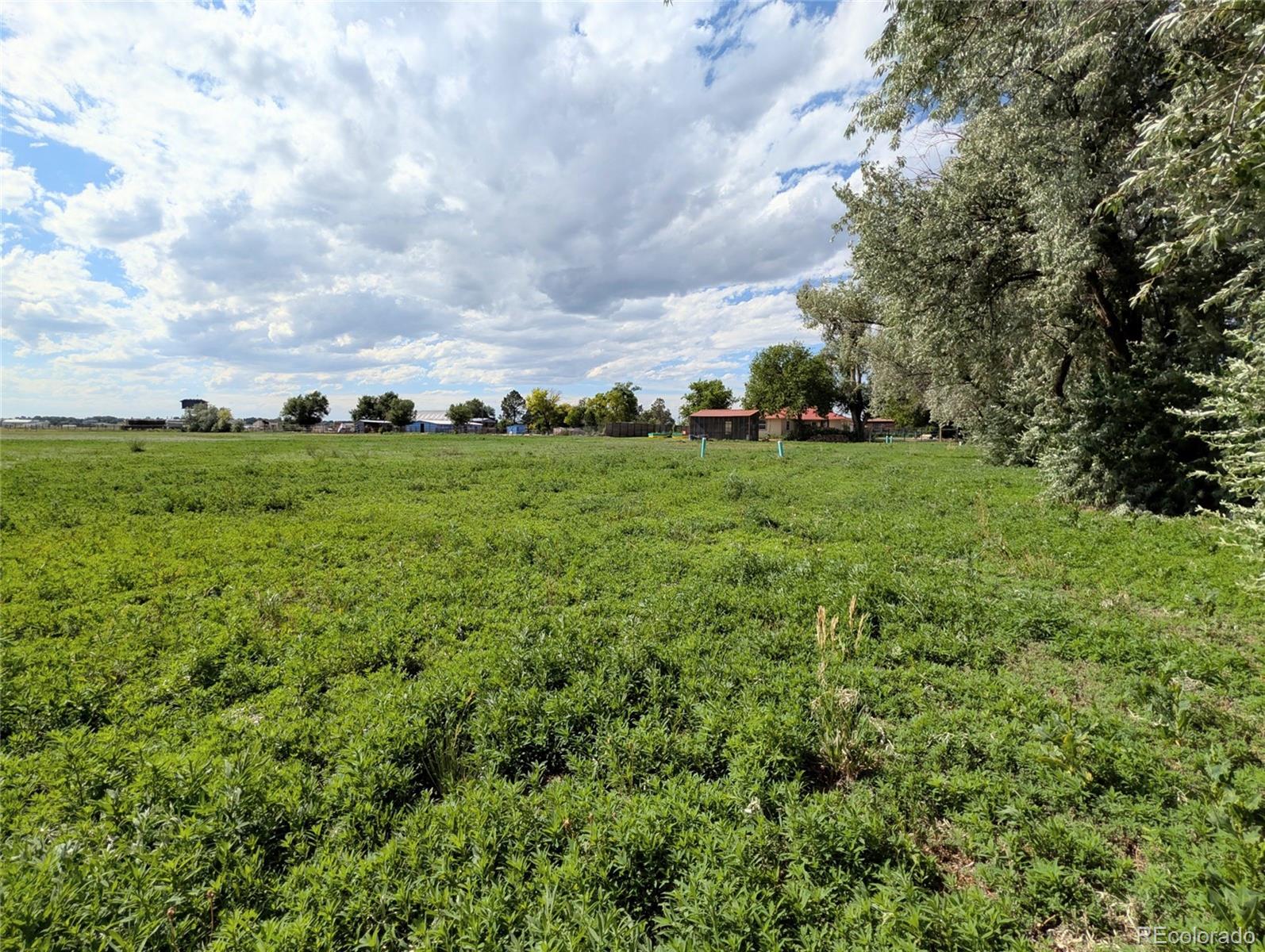MLS Image #21 for 14597  county road 41 ,sterling, Colorado