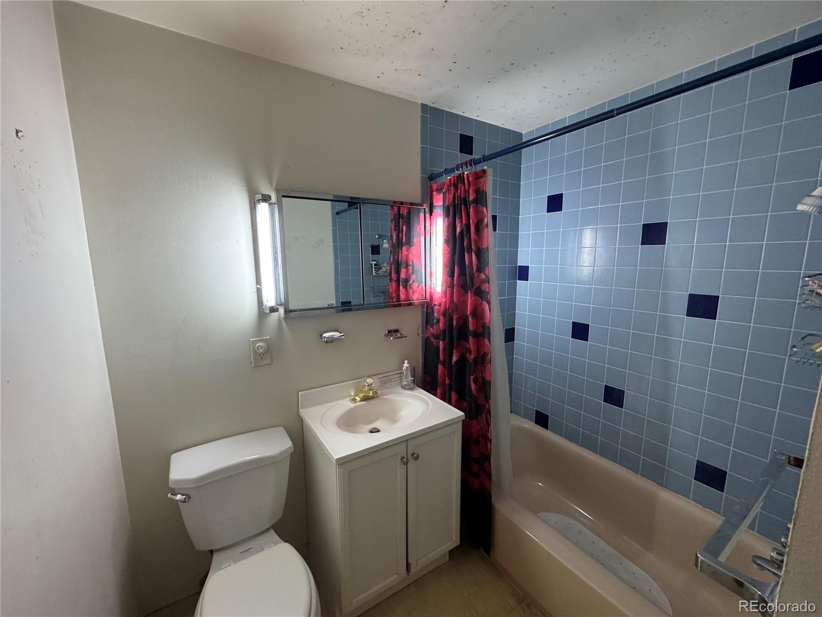 MLS Image #10 for 300  garrison street,denver, Colorado