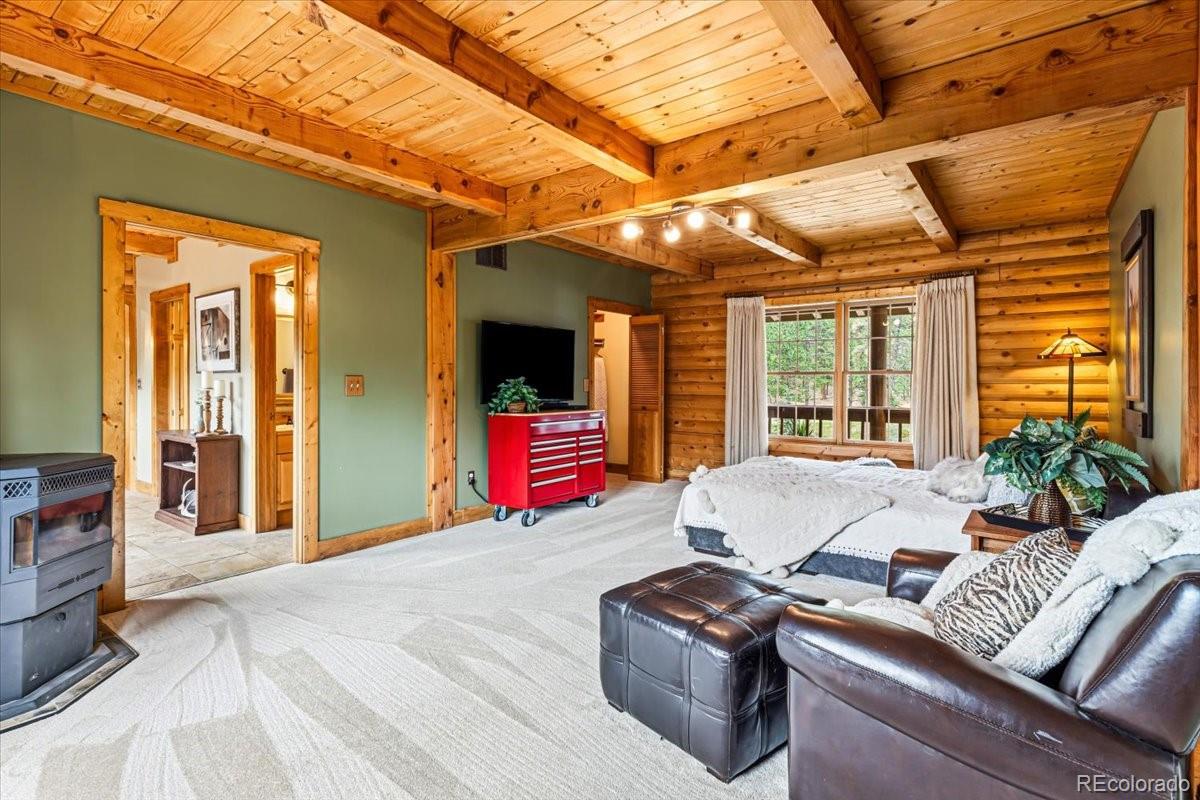 MLS Image #12 for 2185  mount evans boulevard,pine, Colorado