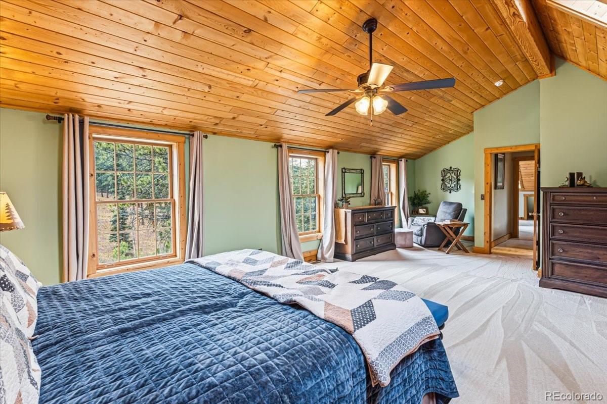 MLS Image #16 for 2185  mount evans boulevard,pine, Colorado