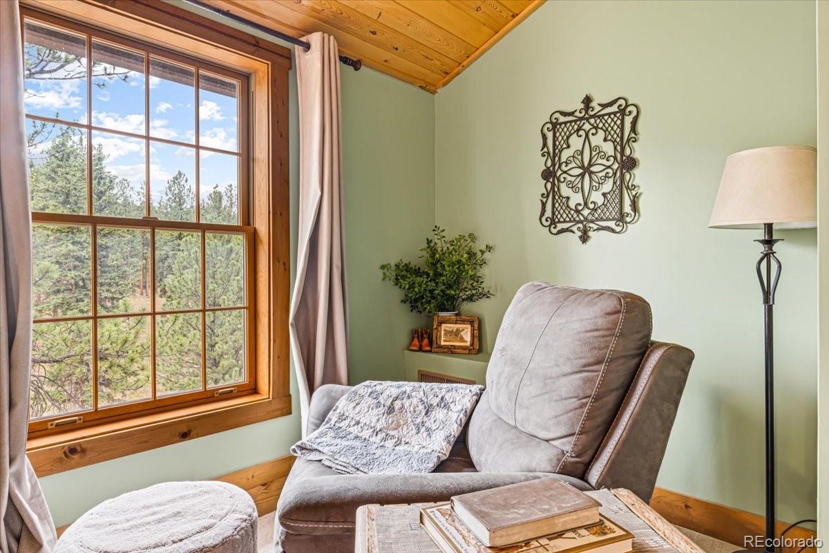 MLS Image #18 for 2185  mount evans boulevard,pine, Colorado