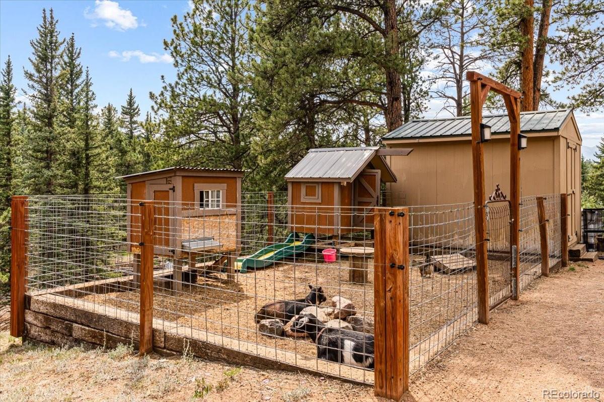 MLS Image #31 for 2185  mount evans boulevard,pine, Colorado