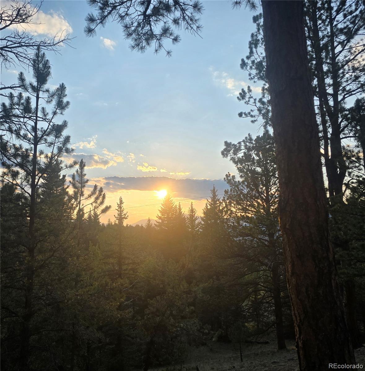 MLS Image #38 for 2185  mount evans boulevard,pine, Colorado