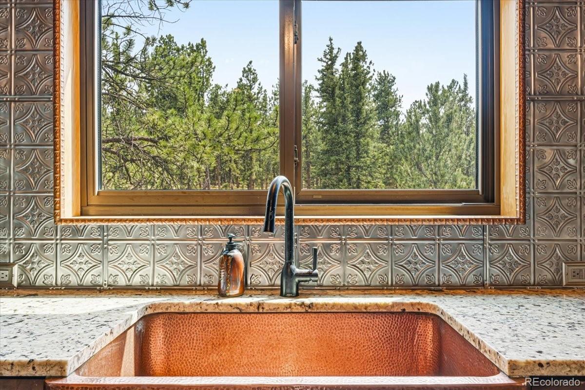 MLS Image #4 for 2185  mount evans boulevard,pine, Colorado