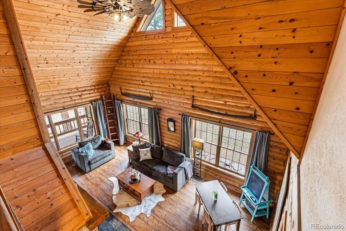 MLS Image #7 for 2185  mount evans boulevard,pine, Colorado