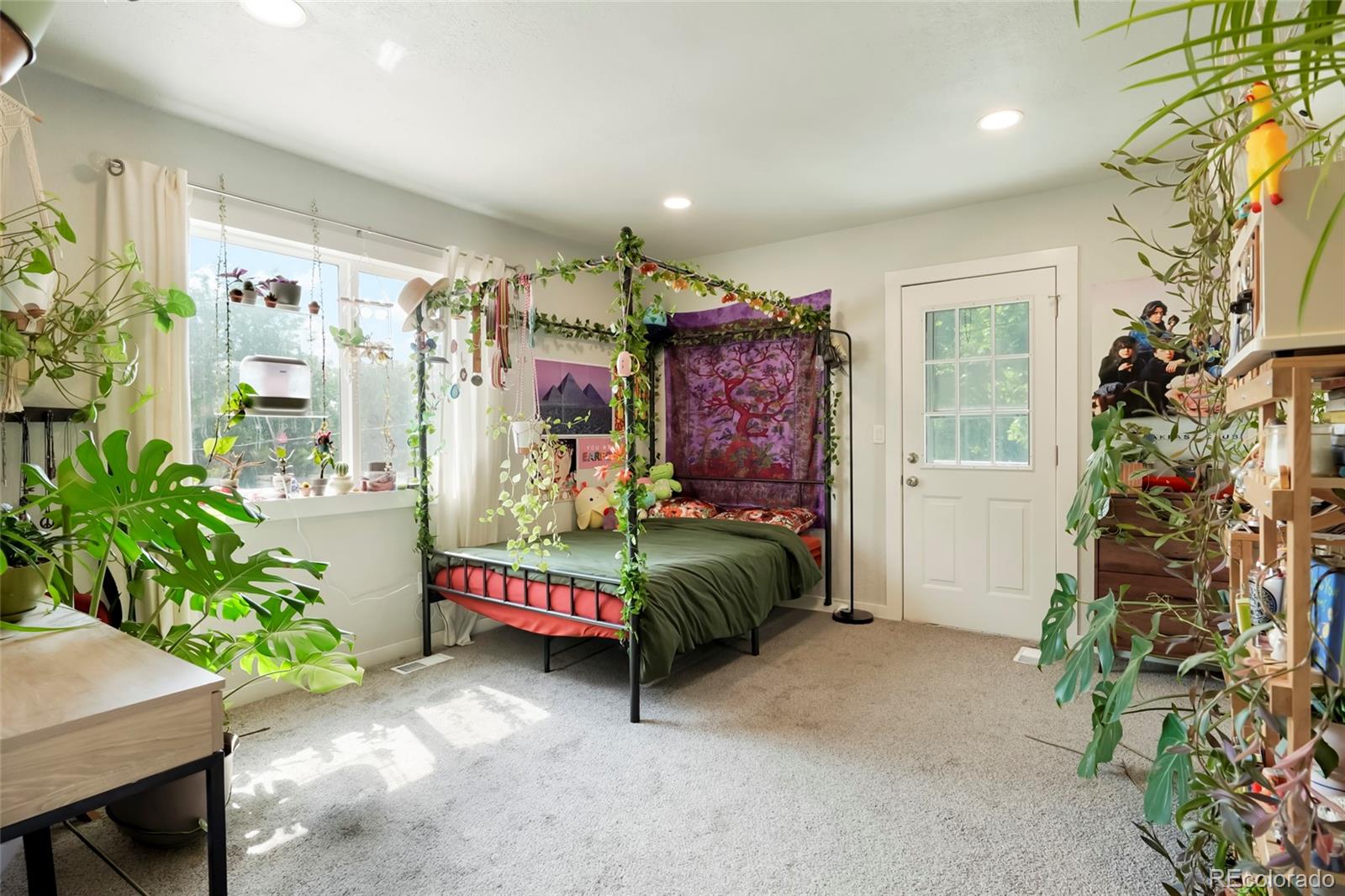 MLS Image #13 for 517  locust street,windsor, Colorado
