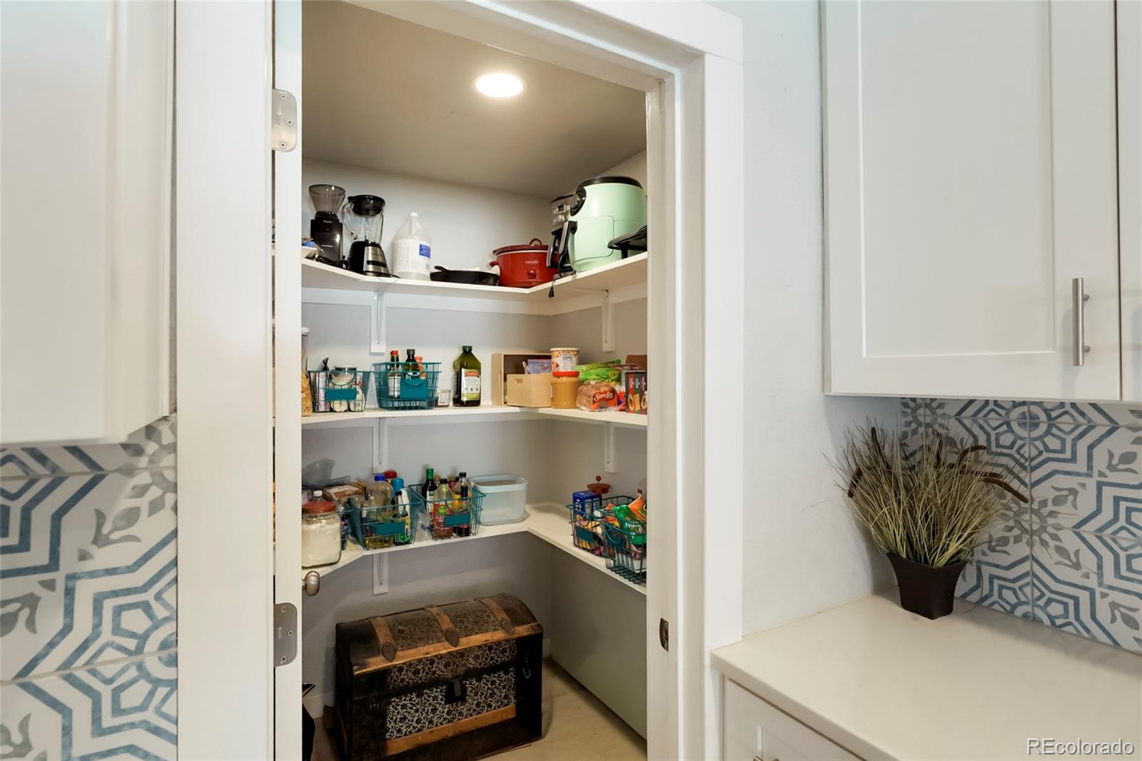 MLS Image #28 for 517  locust street,windsor, Colorado