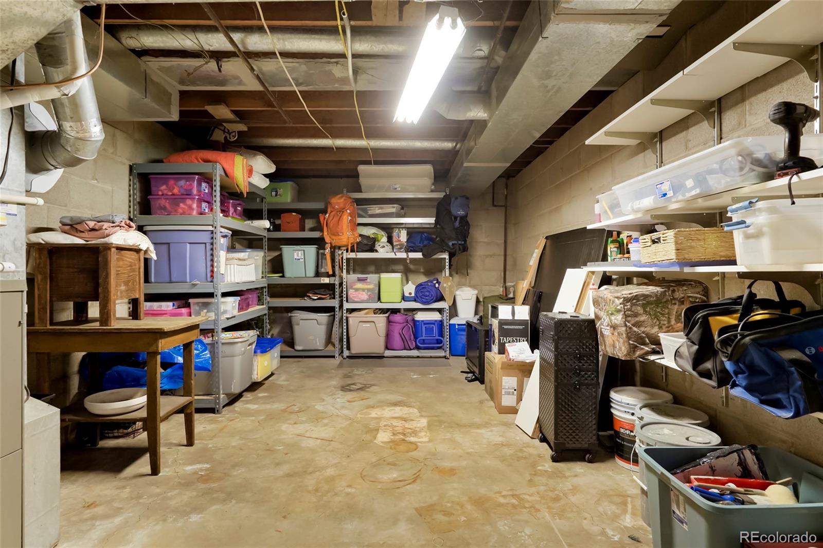 MLS Image #36 for 517  locust street,windsor, Colorado