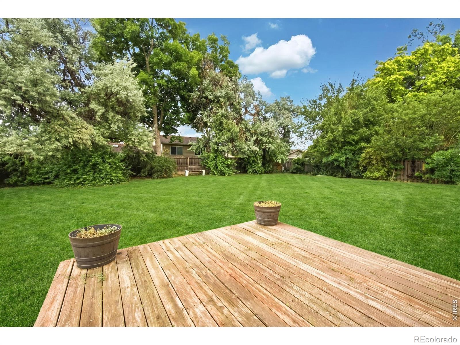 MLS Image #26 for 3030  appaloosa court,fort collins, Colorado