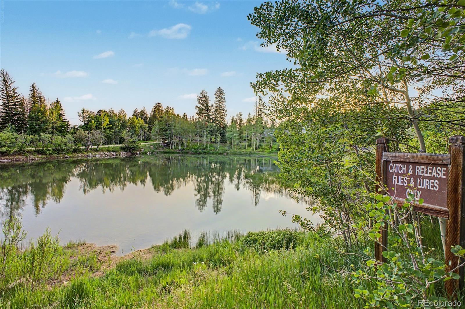 MLS Image #43 for 181  juniper road,black hawk, Colorado