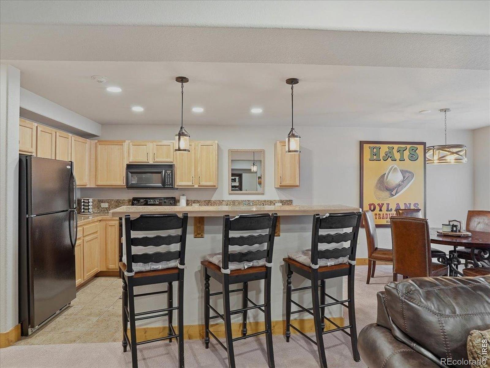 MLS Image #15 for 730  yampa street,steamboat springs, Colorado