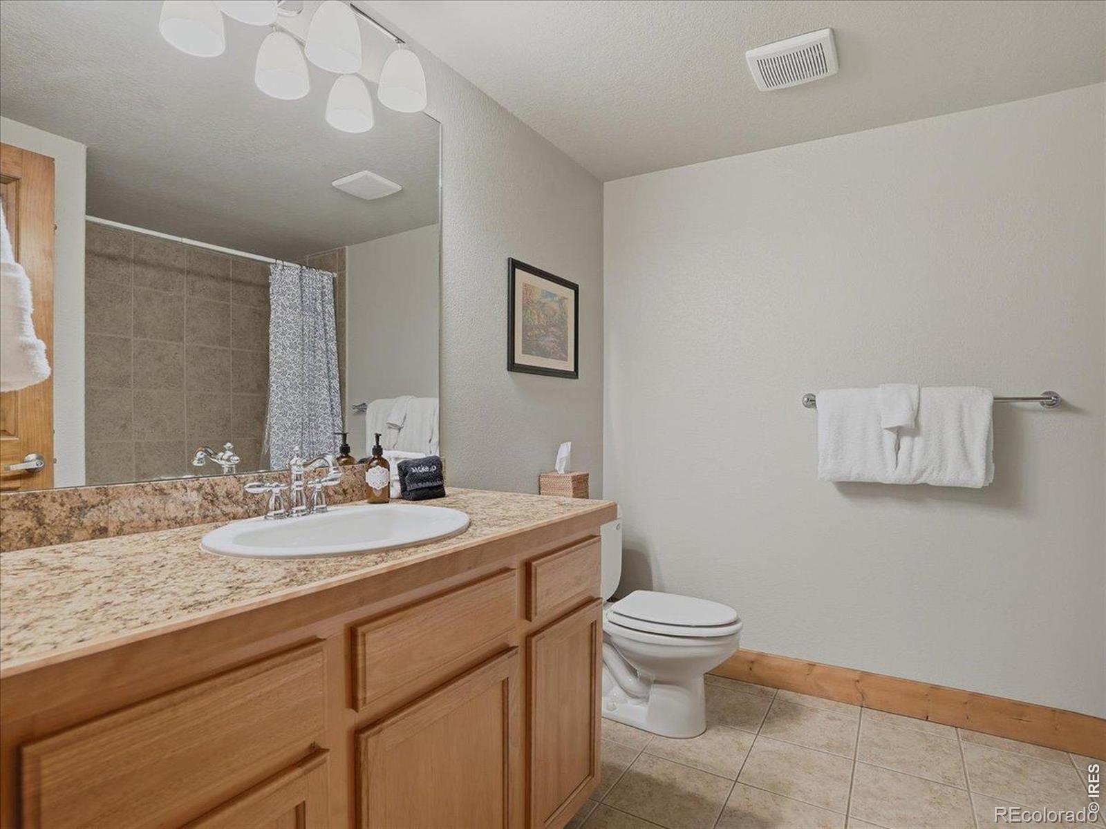 MLS Image #28 for 730  yampa street,steamboat springs, Colorado