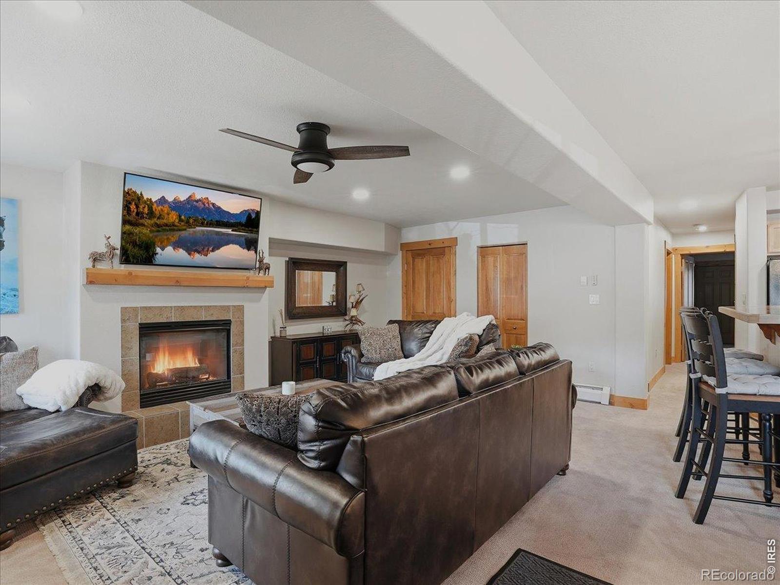 MLS Image #8 for 730  yampa street,steamboat springs, Colorado