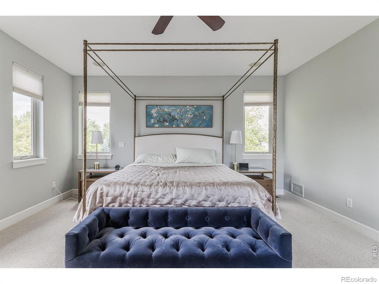 MLS Image #14 for 8584  summerlin place,longmont, Colorado