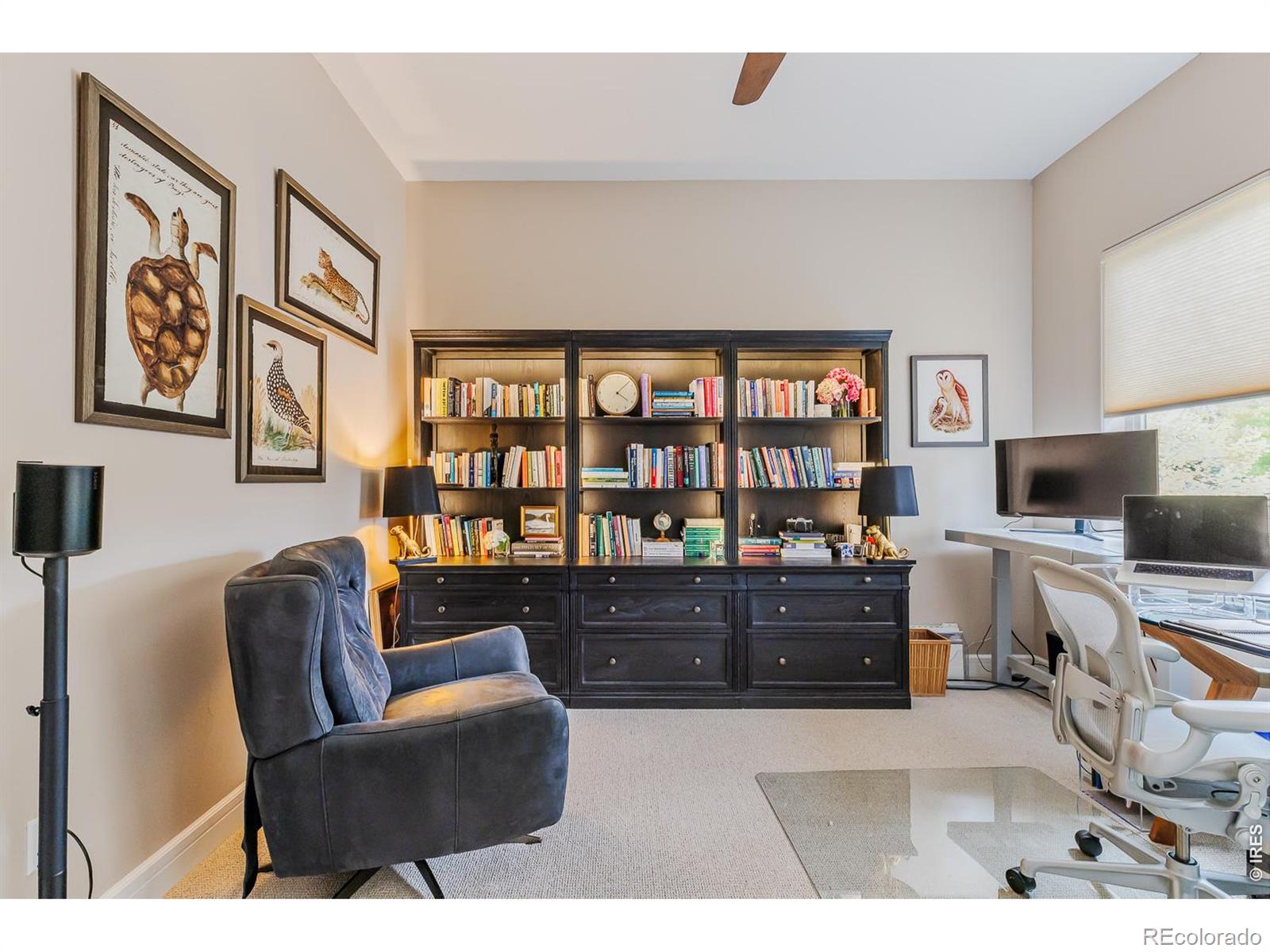 MLS Image #23 for 8584  summerlin place,longmont, Colorado