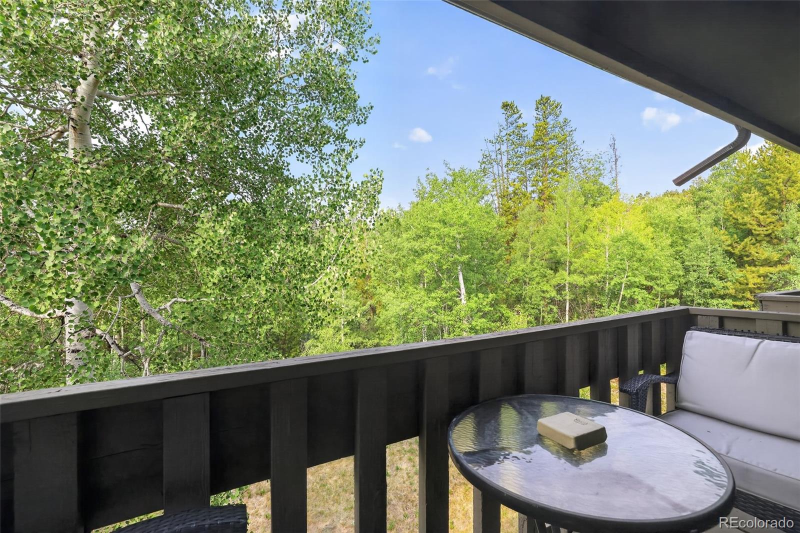 MLS Image #11 for 520  kings crossing road,winter park, Colorado