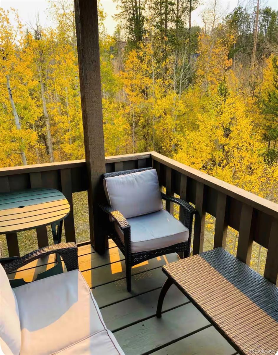 MLS Image #13 for 520  kings crossing road,winter park, Colorado