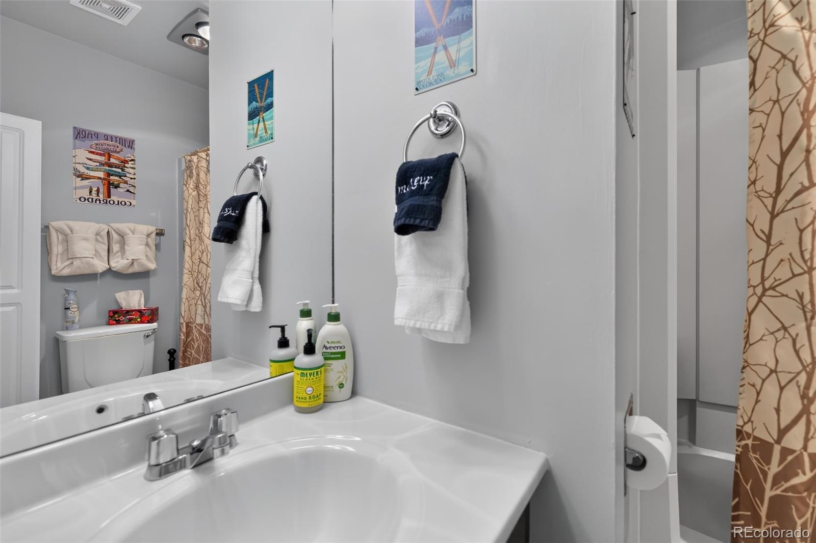 MLS Image #6 for 520  kings crossing road,winter park, Colorado