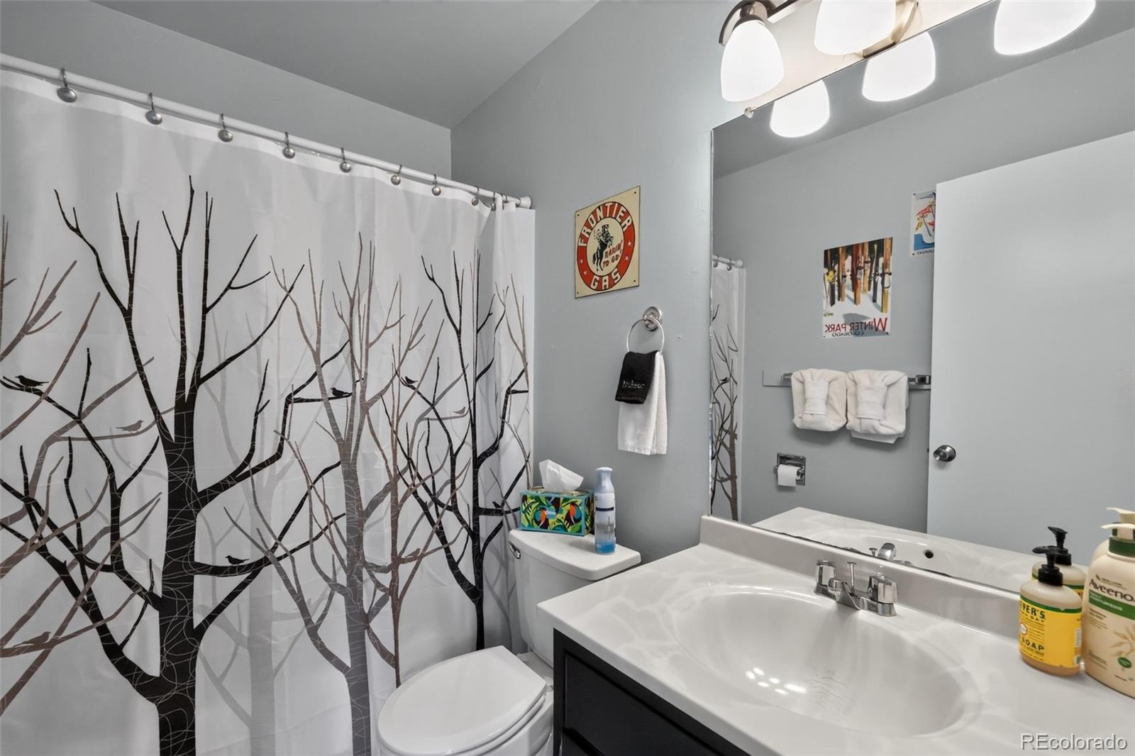 MLS Image #7 for 520  kings crossing road,winter park, Colorado