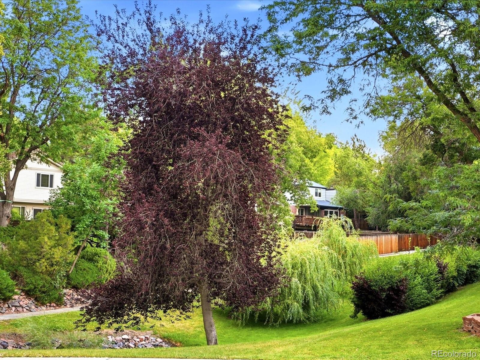 MLS Image #40 for 4811 w 102nd avenue,westminster, Colorado