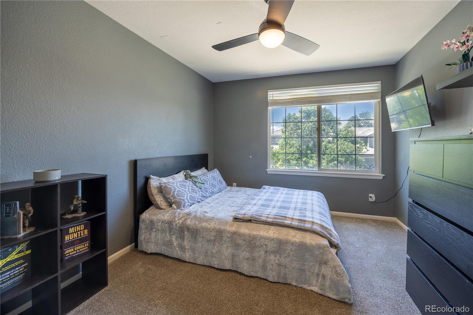 MLS Image #29 for 10276  jill avenue,highlands ranch, Colorado