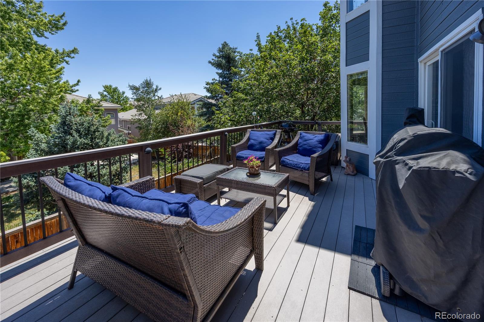 MLS Image #40 for 10276  jill avenue,highlands ranch, Colorado