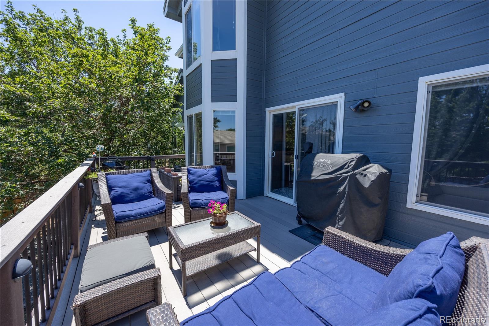 MLS Image #42 for 10276  jill avenue,highlands ranch, Colorado