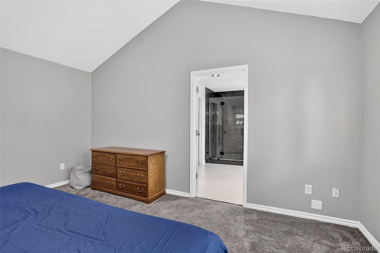 MLS Image #31 for 87  buckthorn drive,littleton, Colorado