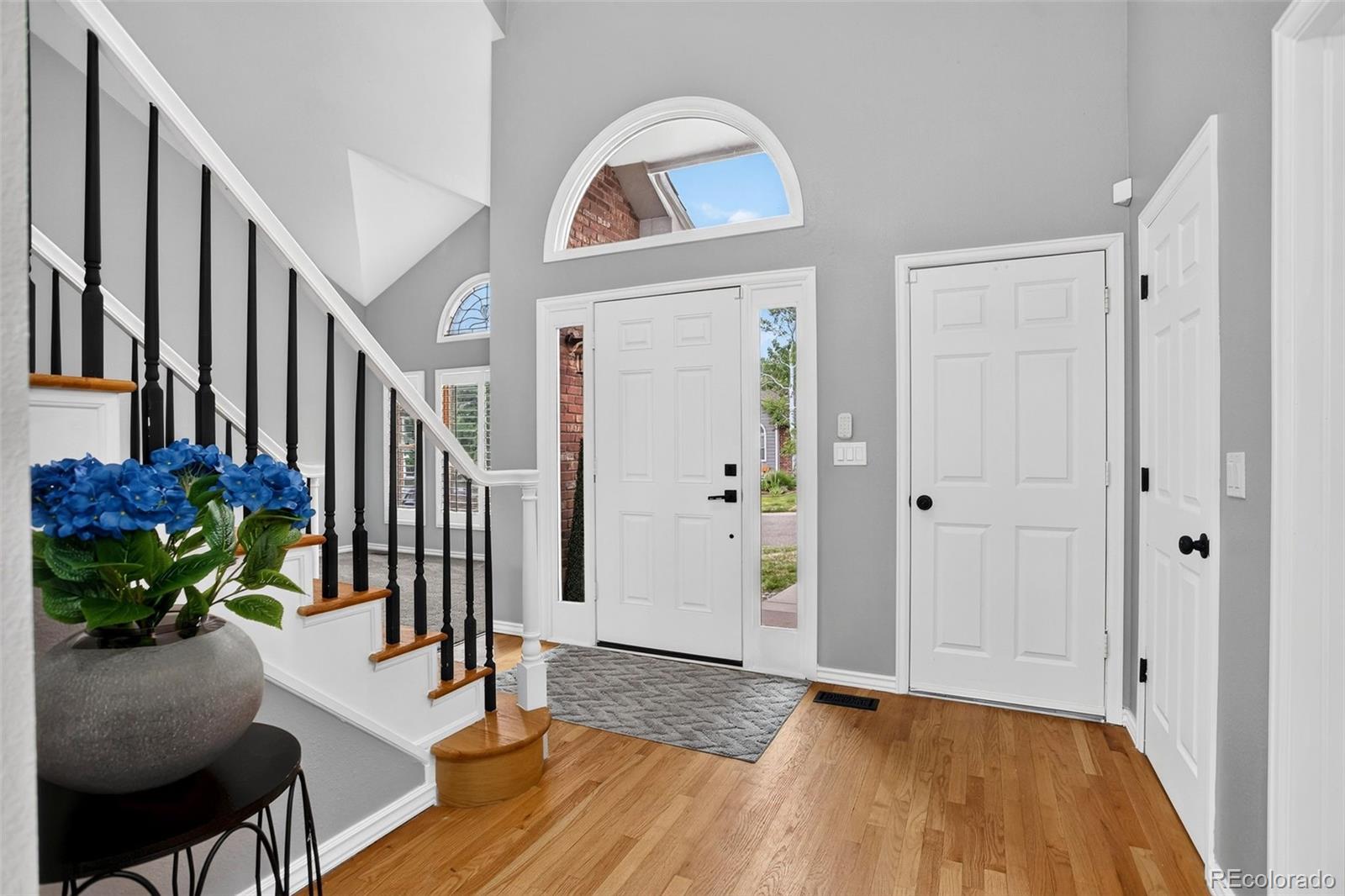 MLS Image #5 for 87  buckthorn drive,littleton, Colorado