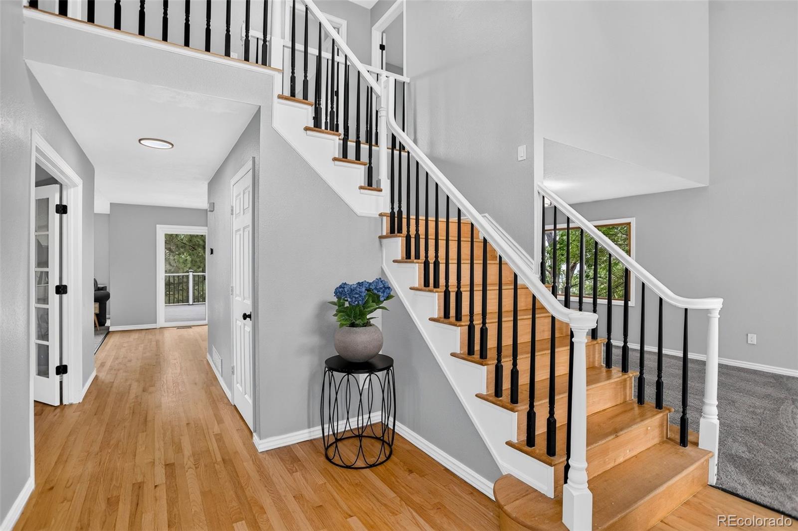 MLS Image #6 for 87  buckthorn drive,littleton, Colorado