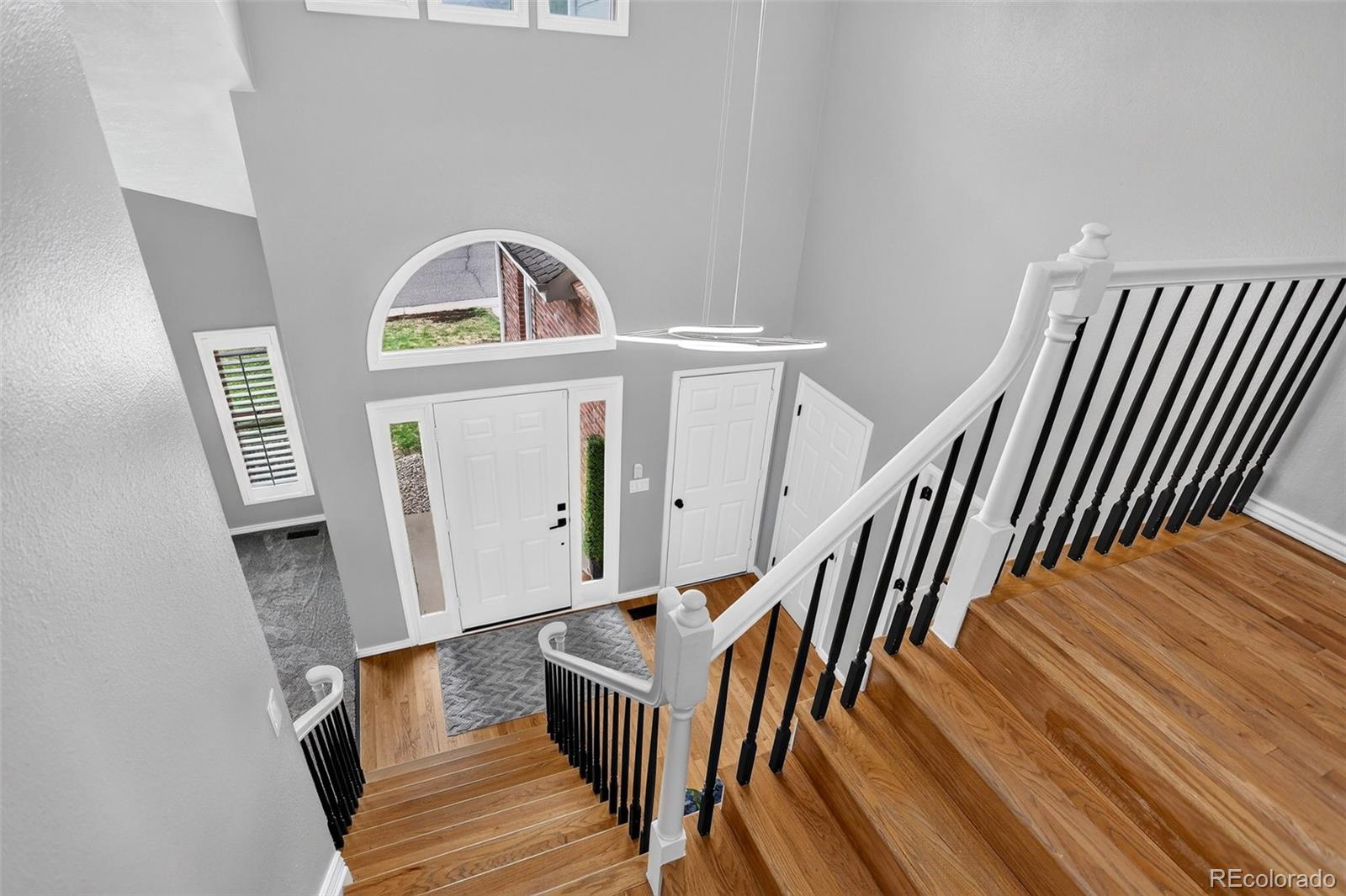 MLS Image #8 for 87  buckthorn drive,littleton, Colorado