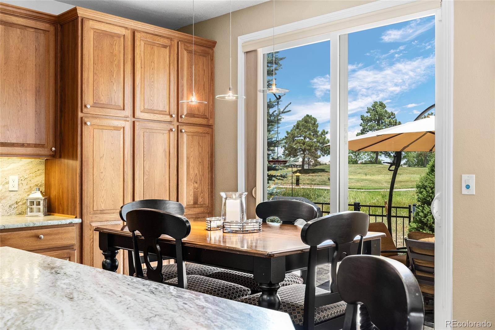 MLS Image #18 for 9038  hunters way,highlands ranch, Colorado