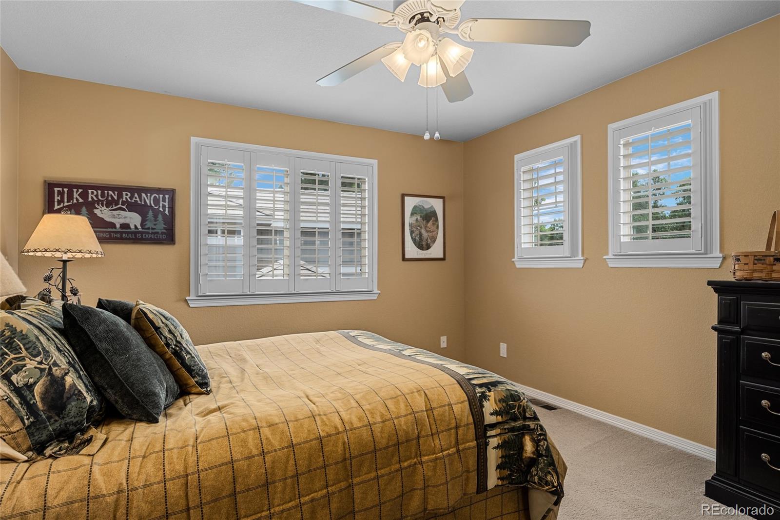 MLS Image #32 for 9038  hunters way,highlands ranch, Colorado