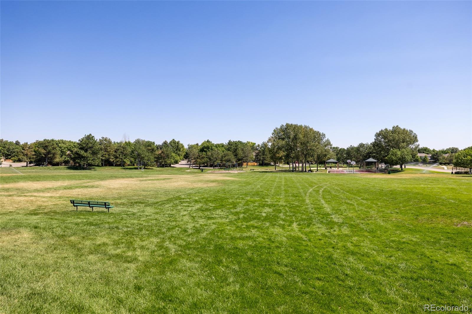 MLS Image #36 for 16439  askins loop ,parker, Colorado