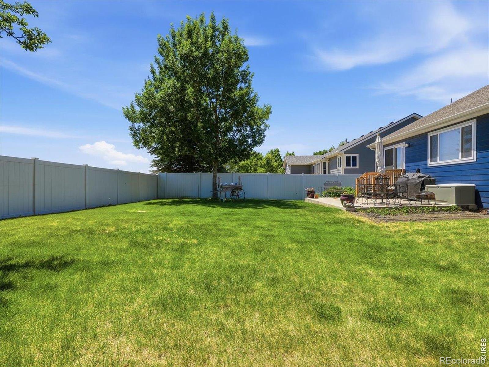 MLS Image #39 for 332  whitney ,windsor, Colorado