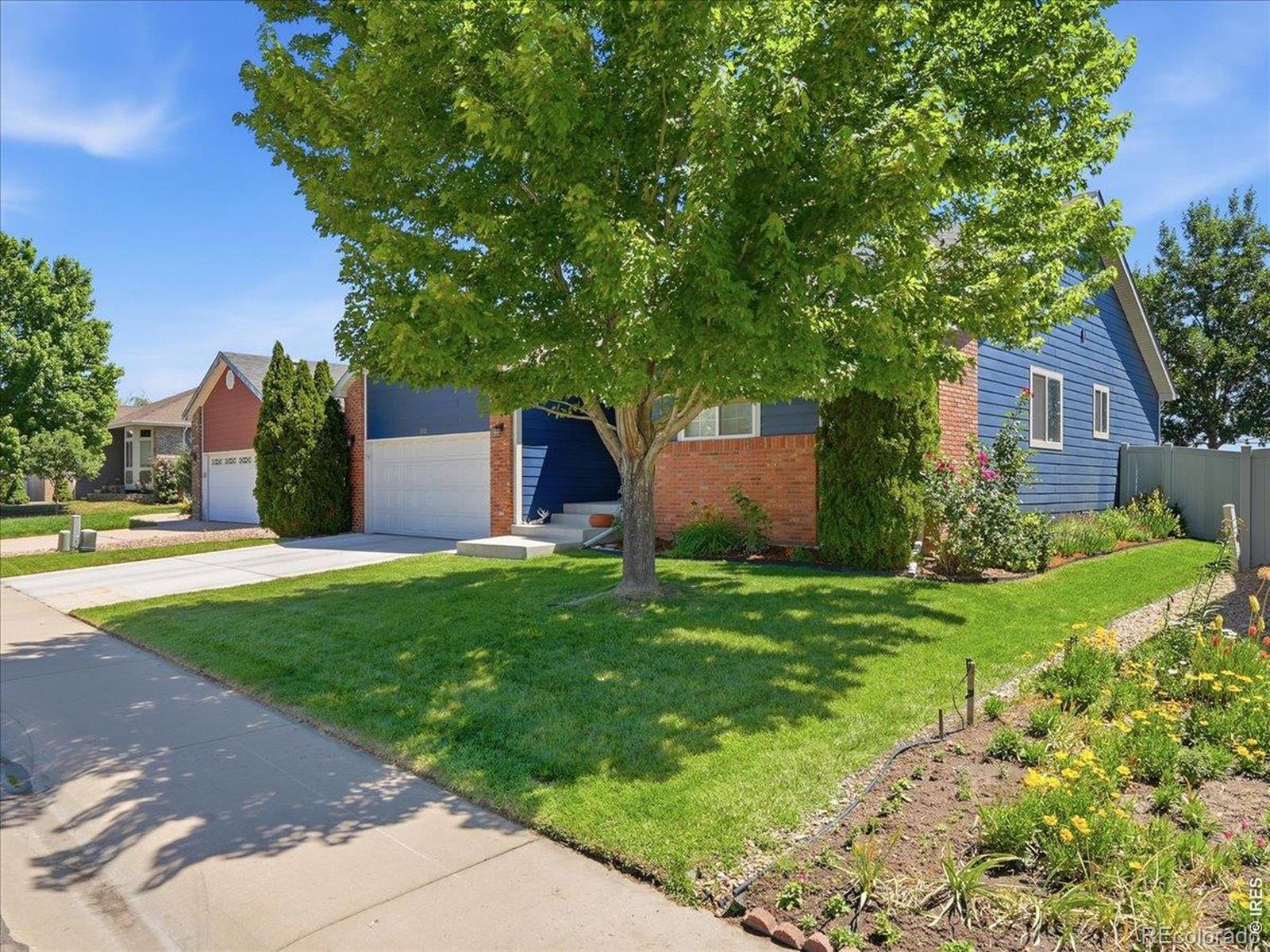 MLS Image #4 for 332  whitney ,windsor, Colorado