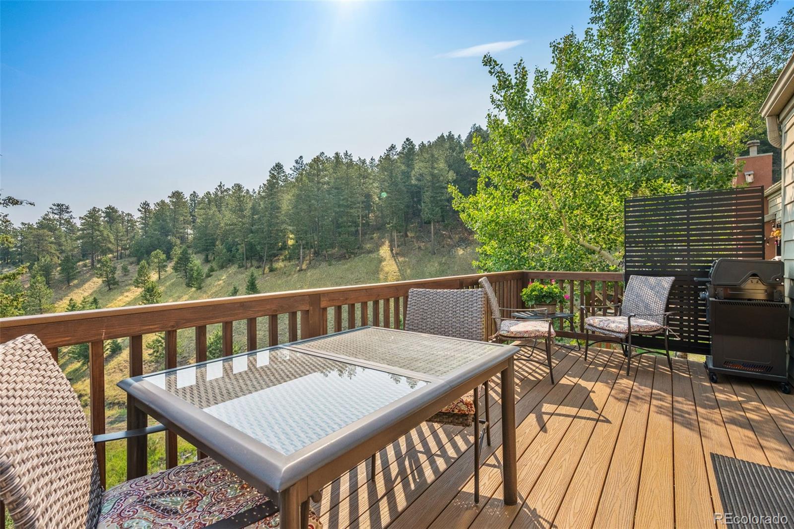 MLS Image #10 for 792  chimney creek drive,golden, Colorado